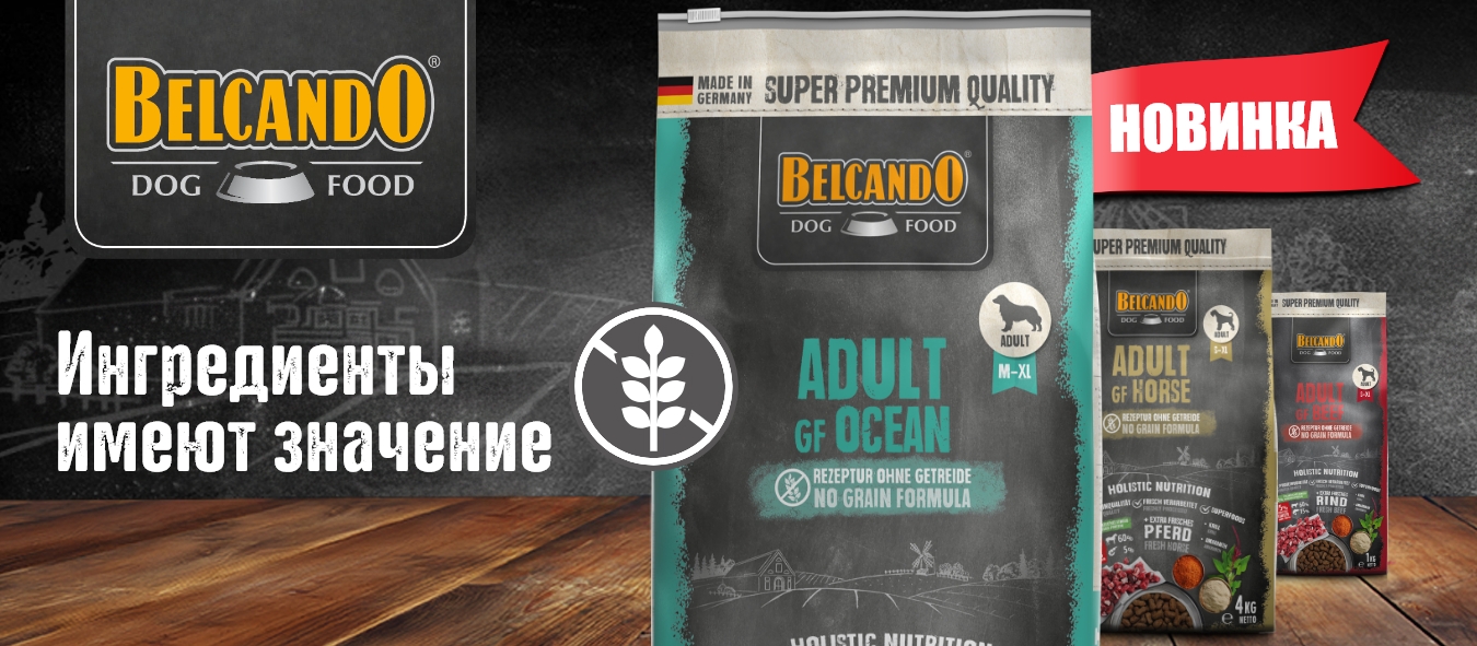 Описание изображения